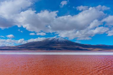 Laguna Colorada, Uyuni