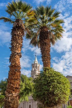Katedral: Arequipa, Peru
