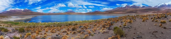 Landscape at Lake Hedionda — Stock Photo, Image