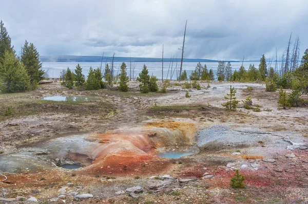 Yellowstone nationalpark — Stockfoto