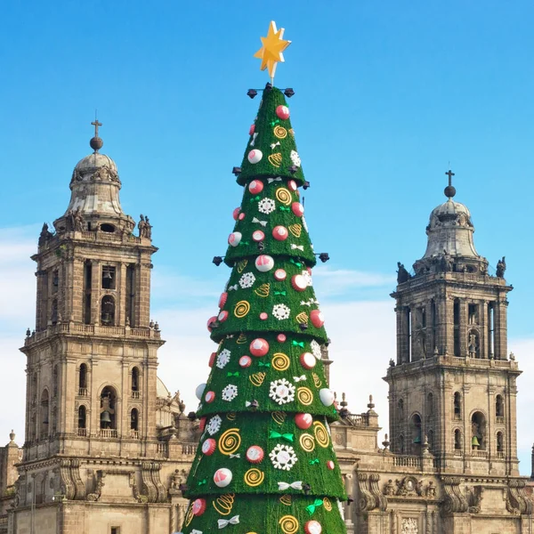 Catedral Metropolitana e Árvore de Natal — Fotografia de Stock