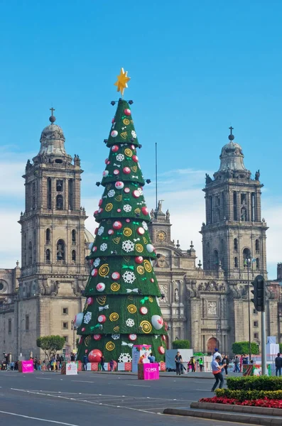 Metropolitan Cathedral en kerstboom — Stockfoto