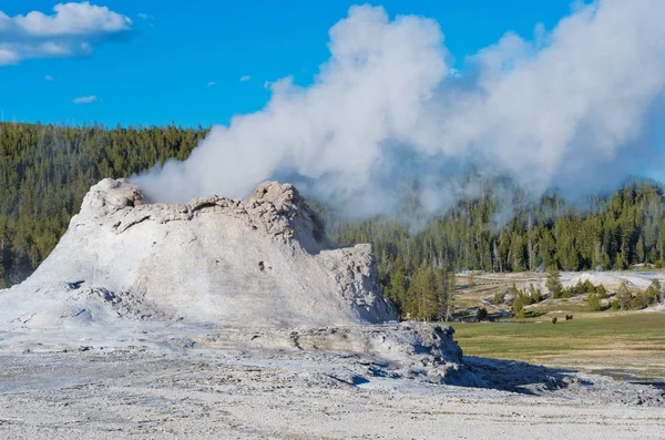 Erupción Castle Geyser Cuenca Del Alto Geyser Parque Nacional Yellowstone — Foto de Stock