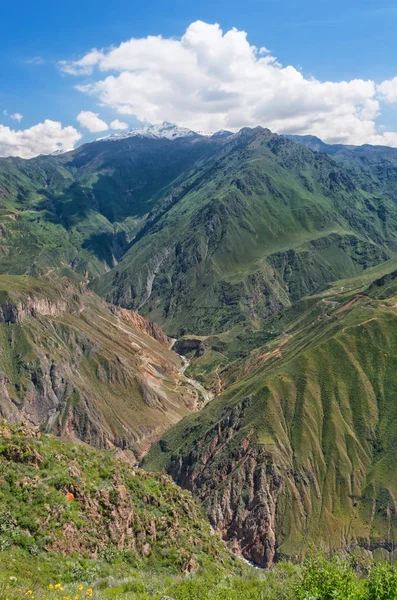 Pohled Kaňon Colca Peru — Stock fotografie