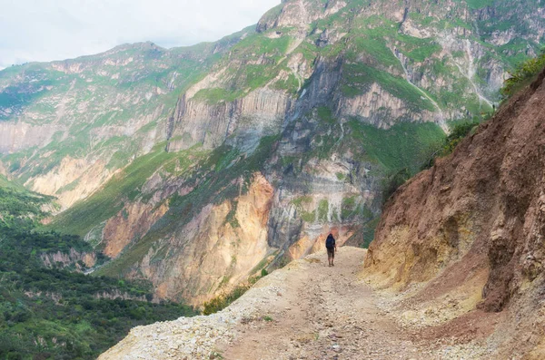 Uzun Yürüyüşe Çıkan Kimse Kanyon Colca Peru — Stok fotoğraf