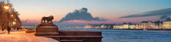 Admiralty dolgu bronz ve Saint Petersburg, Rusya'nın gece Kunstkamera aslan heykeli. Panoramik görünüm