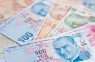 Türk Lirası banknot. para arka kapatmak