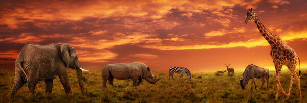 African sunset panoramic background with silhouette of the animals