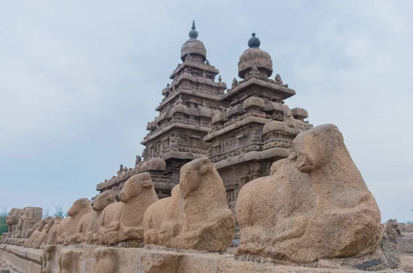 Templo Costa Mamallapuram Tamil Nadu Índia — Fotografia de Stock