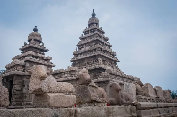 Templo Costa Mamallapuram Tamil Nadu Índia — Fotografia de Stock