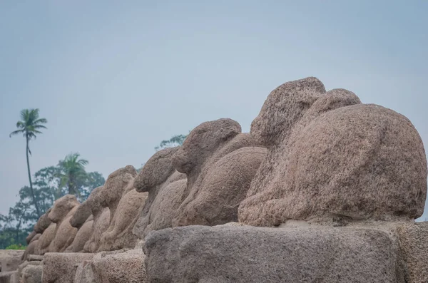 Brzeg Świątyni Mamallapuram Tamil Nadu Indie — Zdjęcie stockowe