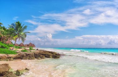 Tropikal Sandy Beach Karayip Denizi üzerinde. Yucatan, Meksika.