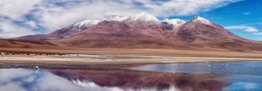 Lake Hedionda, Bolivya, pembe flamingolar. Panoramik görünüm