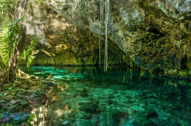Grand hipotermik. Bu Meksika'da en ünlü cenotes biridir.