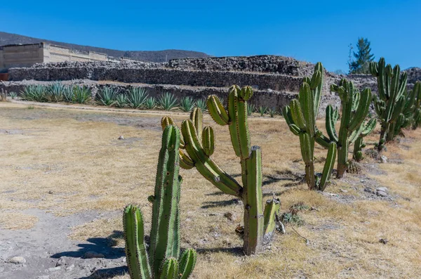Ruïnes Mitla Nabij Oaxaca City Belangrijkste Van Zapoteken Cultuur Gecentreerd — Stockfoto