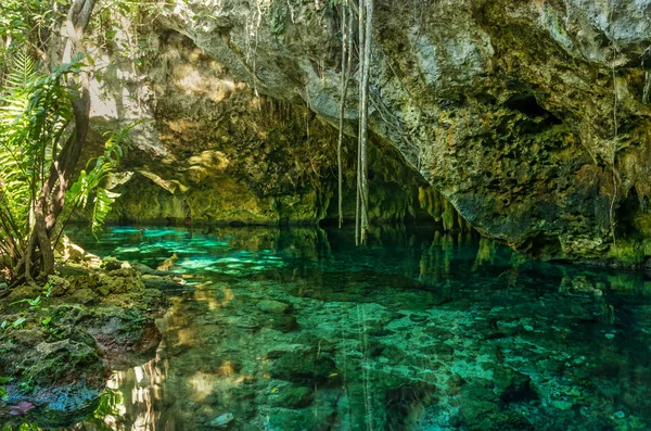 Gran Cenote Este Uno Los Cenotes Más Famosos México —  Fotos de Stock