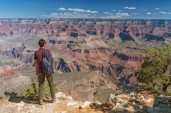 Escursionista Nel Parco Nazionale Del Grand Canyon Stati Uniti — Foto Stock