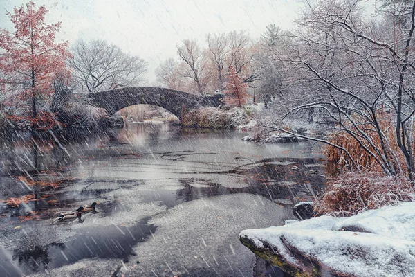 Most Gapstow zimą, Central Park Nowy Jork. Stany Zjednoczone — Zdjęcie stockowe