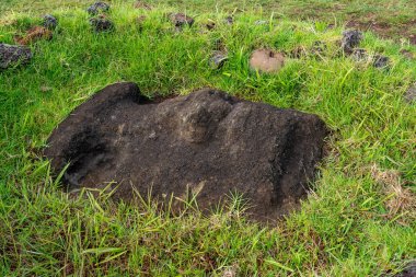 Ahu Vinapu, Doğu Polinezya 'nın Rapa Nui (Paskalya Adası) üzerinde bir arkeolojik sitedir. Şili