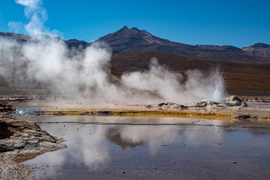 Kuzey Şili 'nin And Dağları' ndaki El Tatio gayzer tarlası