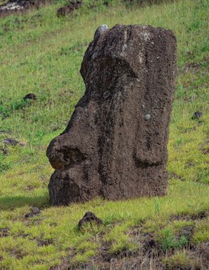 Rano Raraku Volkanı 'ndaki Moai heykelleri Paskalya Adası, Rapa Nui Ulusal Parkı, Şili