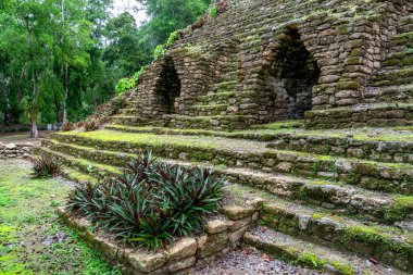 Dzibanche, Quintana Roo 'nun güneyindeki Yucatan Yarımadası' nda bulunan antik Maya uygarlığının arkeolojik bir yeridir..
