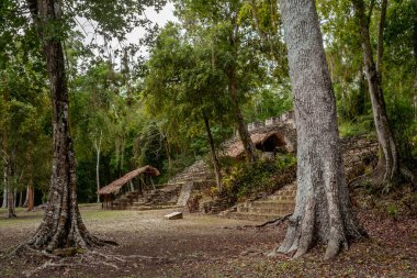 Dzibanche, Quintana Roo 'nun güneyindeki Yucatan Yarımadası' nda bulunan antik Maya uygarlığının arkeolojik bir yeridir..