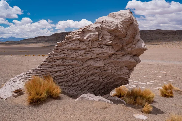 Kőképződés Salar Tarában Atacama Sivatag Chile — Stock Fotó