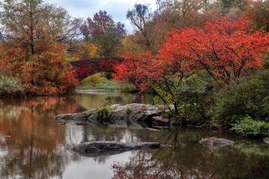 Central Park 'taki sonbahar manzarası. Gapstow Köprüsü, New York. ABD