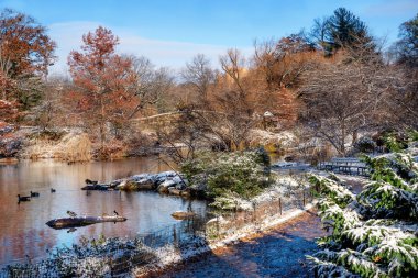 Gapstow köprü kış, Central Park New York City sırasında. ABD