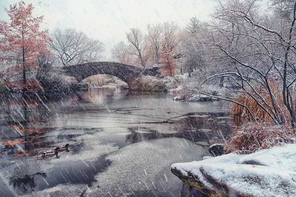 Most Gapstow Okresie Zimowym Nowojorski Central Park Stany Zjednoczone Ameryki — Zdjęcie stockowe