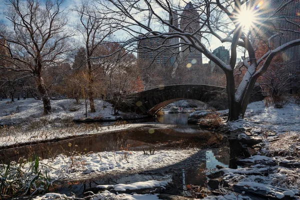 Puente Gapstow Durante Invierno Central Park Nueva York Estados Unidos — Foto de Stock
