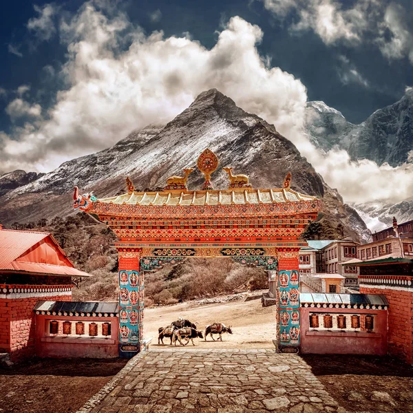 喜马拉雅山的佛教寺院 天波尼泊尔 — 图库照片