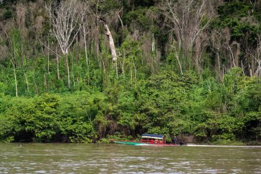 Meksika 'nın Chiapas eyaletindeki Olağan Macinta Nehri' nde bir tekne..
