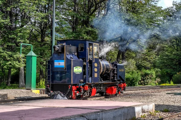 Dünyanın Sonu Treni Tierra Del Fuego Ulusal Parkı Patagonya Arjantin — Stok fotoğraf