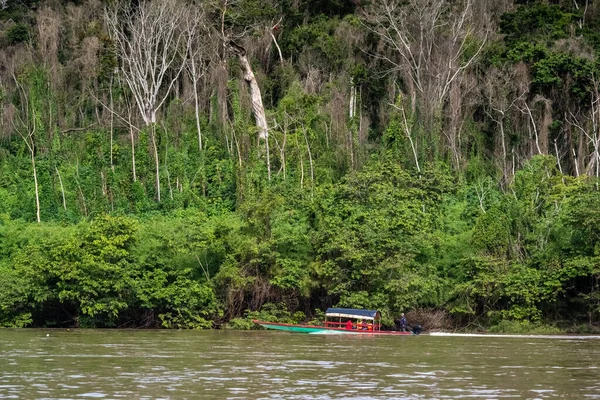 Barco Río Usumacinta Estado Chiapas México — Foto de Stock