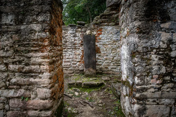 Ruins Temple Classic Maya Period Bonampak Chiapas Mexico — Stock Photo, Image