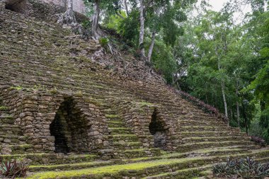 Dzibanche, Quintana Roo 'nun güneyindeki Yucatan Yarımadası' nda bulunan antik Maya uygarlığının arkeolojik bir yeridir..