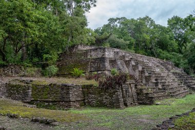 Dzibanche, Quintana Roo 'nun güneyindeki Yucatan Yarımadası' nda bulunan antik Maya uygarlığının arkeolojik bir yeridir..