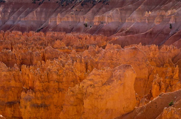 Wschód Słońca Parku Narodowym Bryce Canyon Utah Stany Zjednoczone — Zdjęcie stockowe