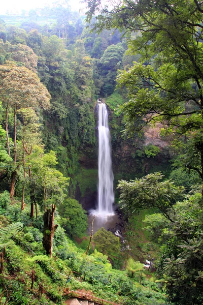Cachoeira em uma floresta tropical — Fotografia de Stock