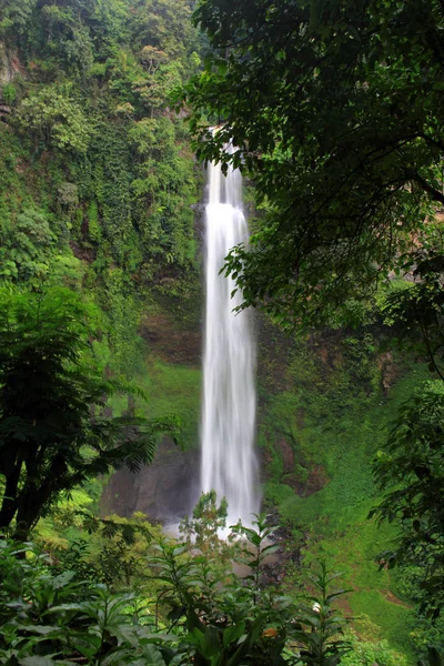 Cascade dans une forêt tropicale — Photo