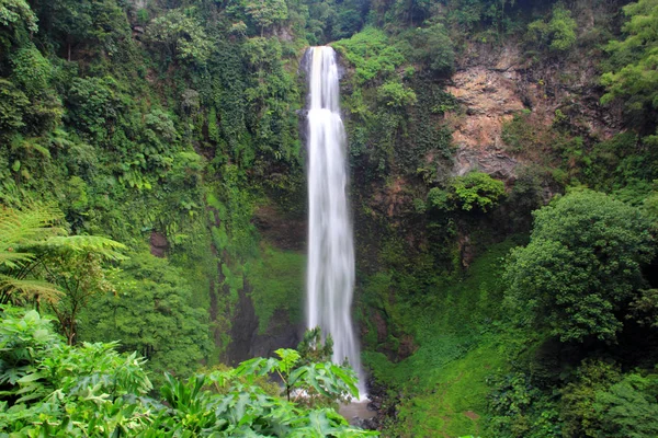 Cachoeira em uma floresta tropical — Fotografia de Stock