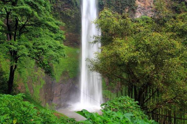 Cascata in una foresta pluviale — Foto Stock