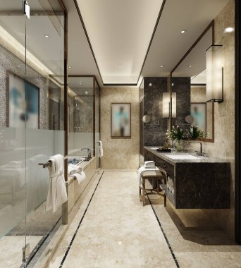 3D banyo içi görüntüleme.