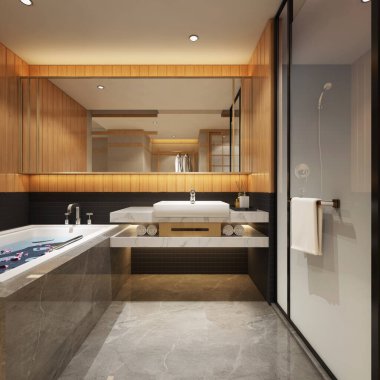 3D banyo içi görüntüleme.