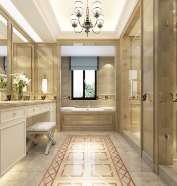 3D banyo içi görüntüleme