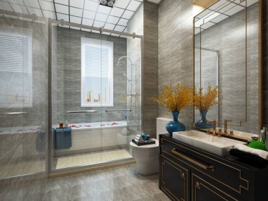 3D banyo içi görüntüleme