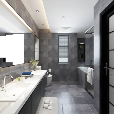 3D banyo içi görüntüleme