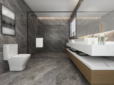 3D banyo içi görüntüleme